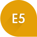 鹏为E5
